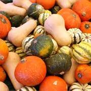Squashes
