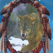 Wolf Dream Catcher