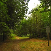 The Chase, Hampshire