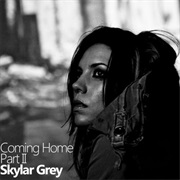 Coming Home - Skylar Grey