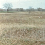 Deer Creek Site