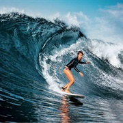 Compete in a Surf Competition