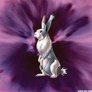 Hare of Inaba