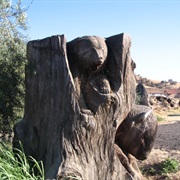 Lemon Cove, CA Wood Carving