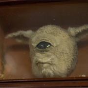 Marsh's Free Museum, Long Beach