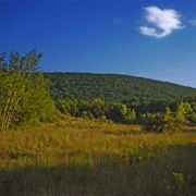 Nescopeck State Park, Pennsylvania
