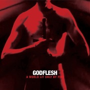 Godflesh - A World Lit Only by Fire (2014)