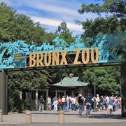 Spend an Afternoon at the Bronx Zoo