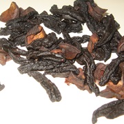 Bor Thekera (Garcinia Pedunculata)