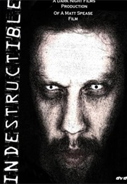 Indestructible (2009)