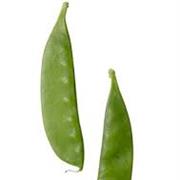 Snowpea