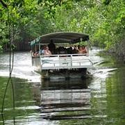 The Black River, Jamaica