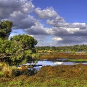 Yanchep National Park (WA)