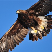 Isle of Arran, Scotland