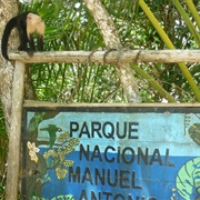 Manuel Antonio National Park, Costa Rica