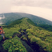 Concepcion Volcano Hike, Chile