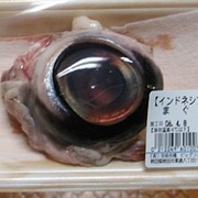 Eyeball