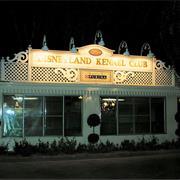 Kennel Club (1968-Present)