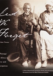 Lest We Forget: The Passage From Africa to Slavery and Emancipation (Velma Maia Thomas)