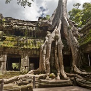 Angkor Temple (Cambodia)