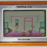 Tropical Fish