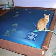 Own a Waterbed