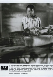 Silent Witness: What a Child Saw (1994)