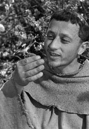 Flowers of St. Francis