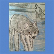 Wolf Moon