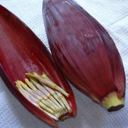 Banana Flower