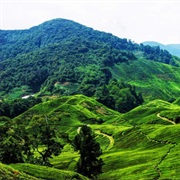 Cambodia: Phnom Aural (5,938 Ft)