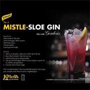 Mistle Sloe Gin