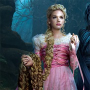 Rapunzel Into the Woods