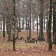 George P. Cossar State Park, Mississippi