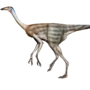 Struthiomimus