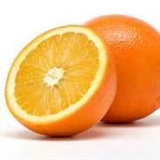Valencia Orange