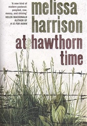 At Hawthorn Time (Melissa Harrison)