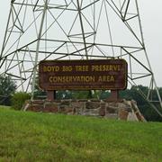 Boyd Big Tree Preserve Conservation Area