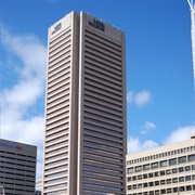 Transamerica Tower-Baltimore