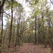 Dahomey National Wildlife Refuge