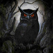 Dark Owl