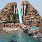 Walrus Splash (Chimelong Ocean Kingdom, China)