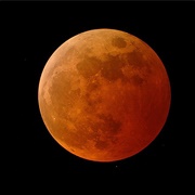 Watch a Lunar Eclipse
