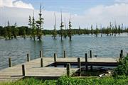 Big Lake Natural Area (Arkansas)