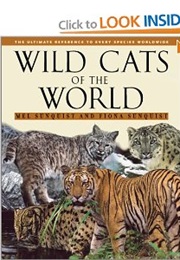 Wild Cats of the World