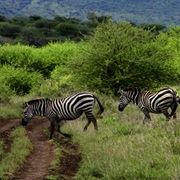 Nechisar National Park, Ethiopia