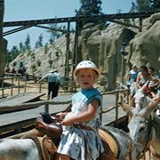 Mule Pack (1955-1956)