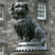 Grayfriar's Bobby