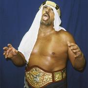 The Sheik