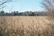 Lynnfield Marsh (Massachusetts)